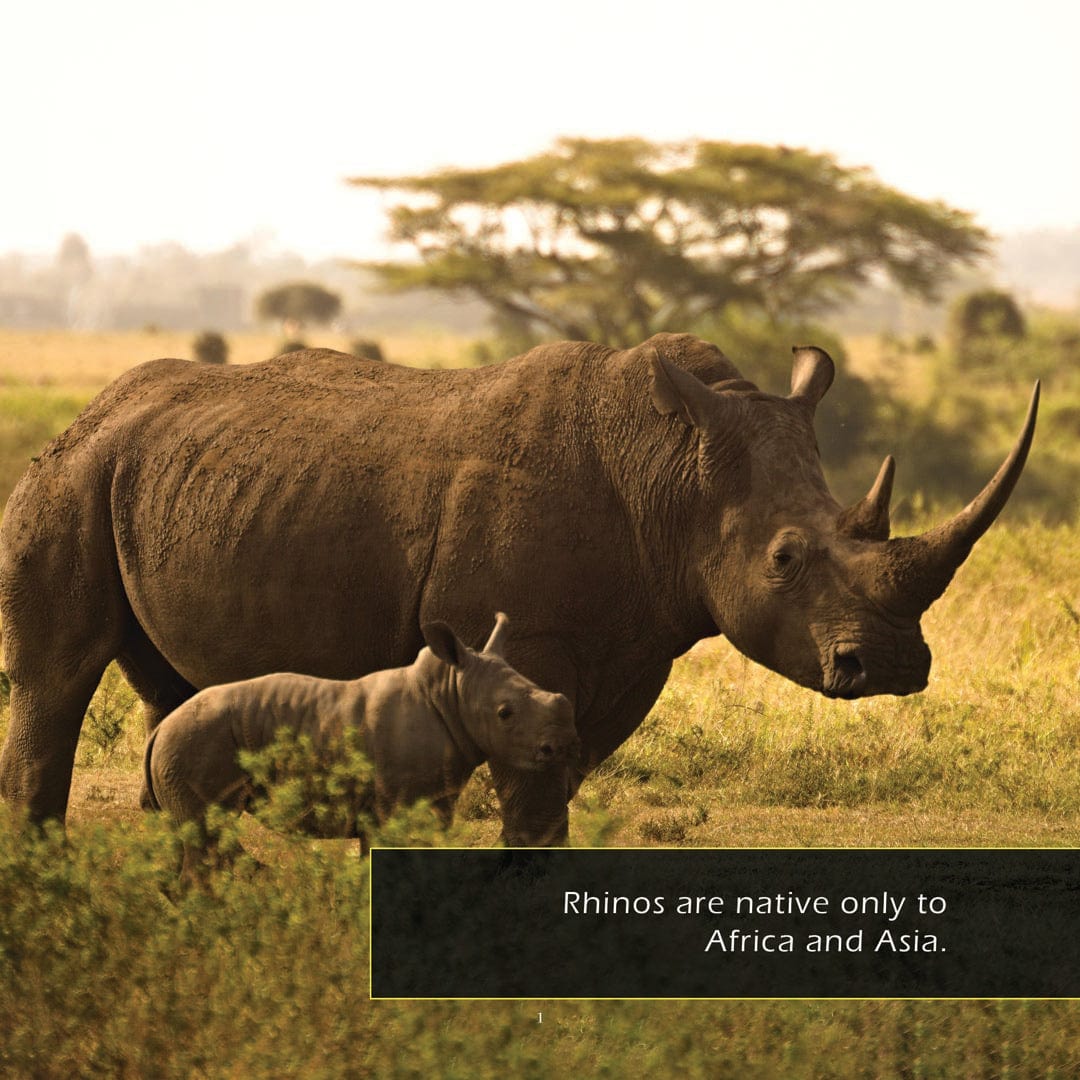 Rhinos! A My Incredible World Picture Book for Children