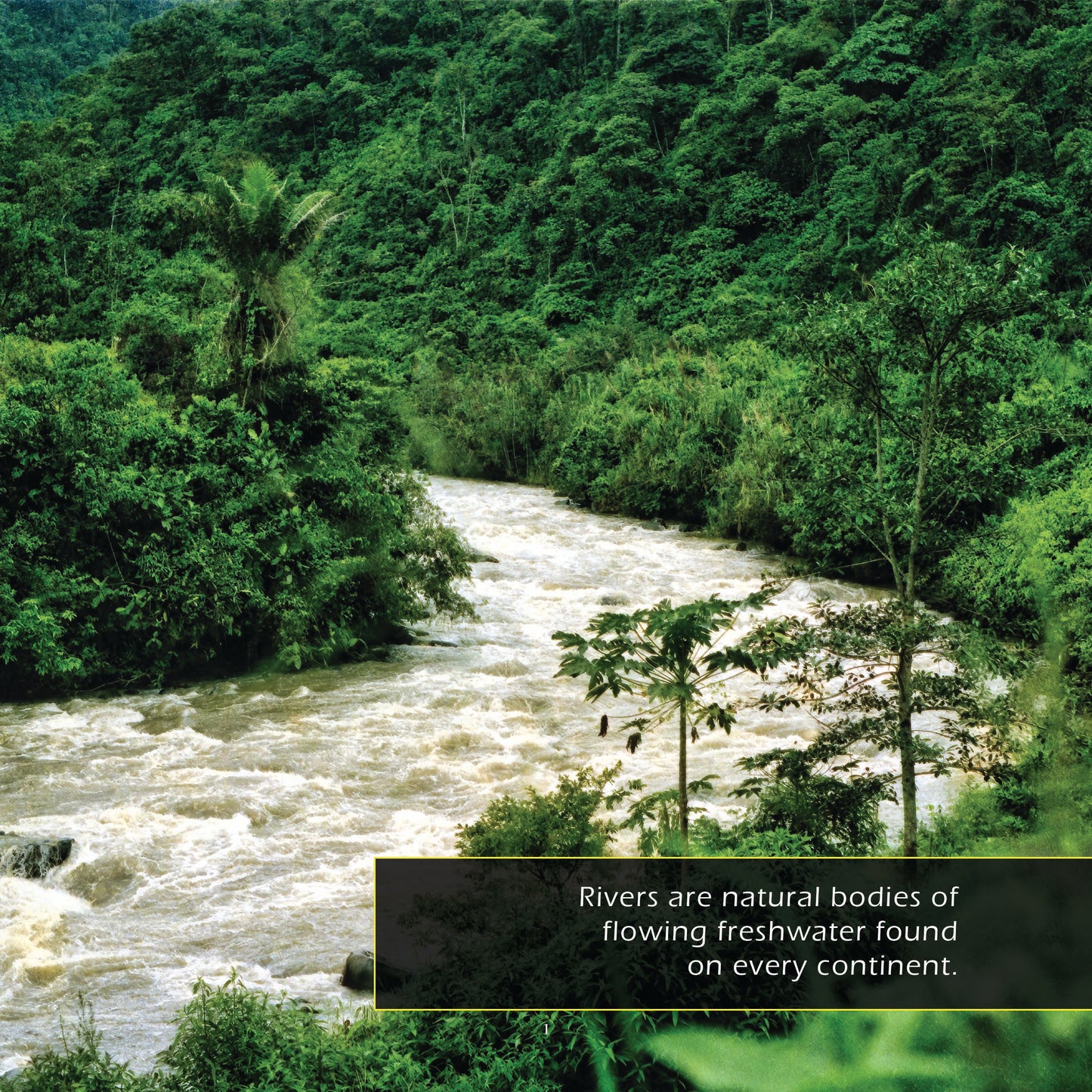 Rivers! A My Incredible World Picture Book for Children
