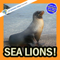 Sea Lions! A My Incredible World Picture Book for Children