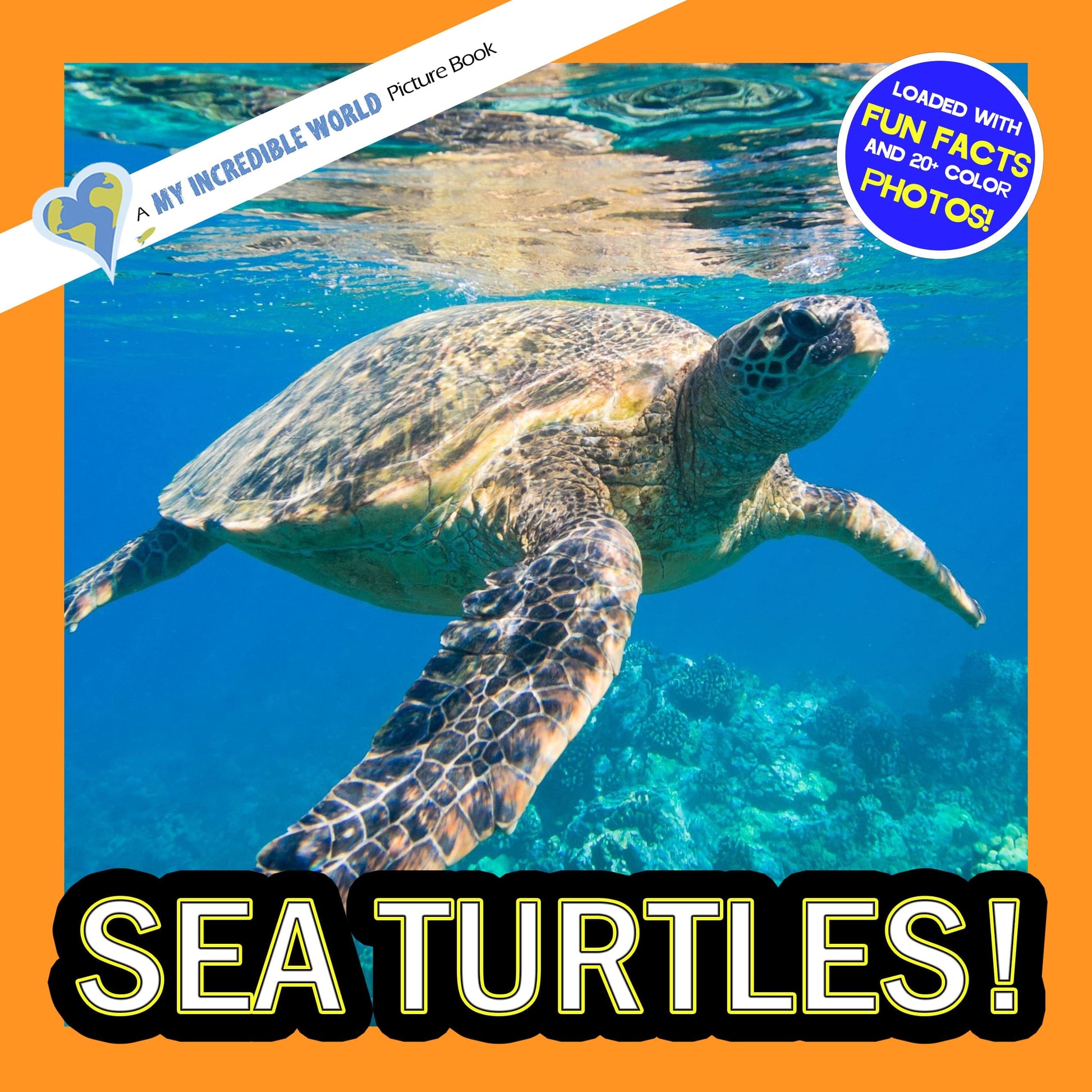 Sea Turtles! A My Incredible World Picture Book for Children