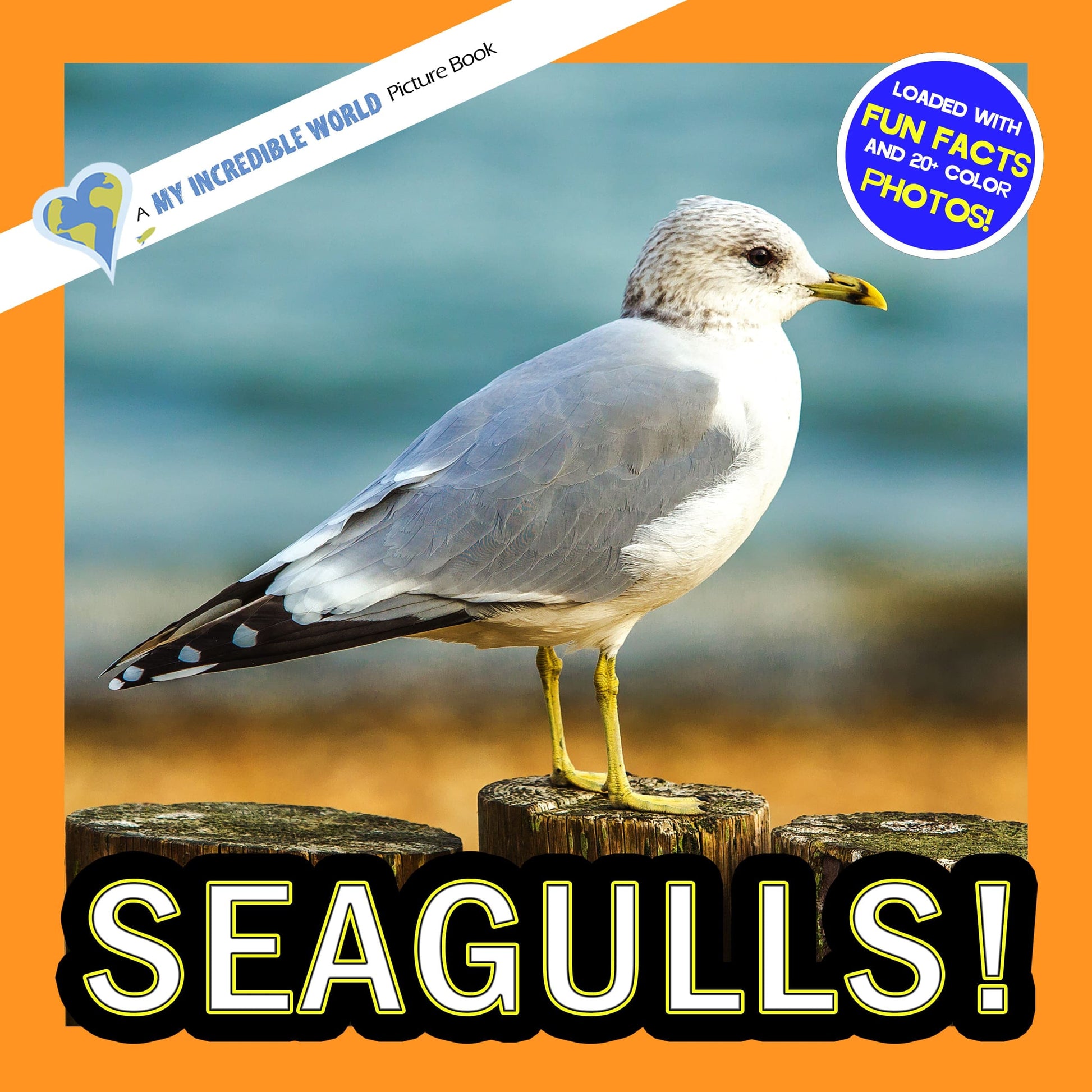 Seagulls! A My Incredible World Picture Book for Children