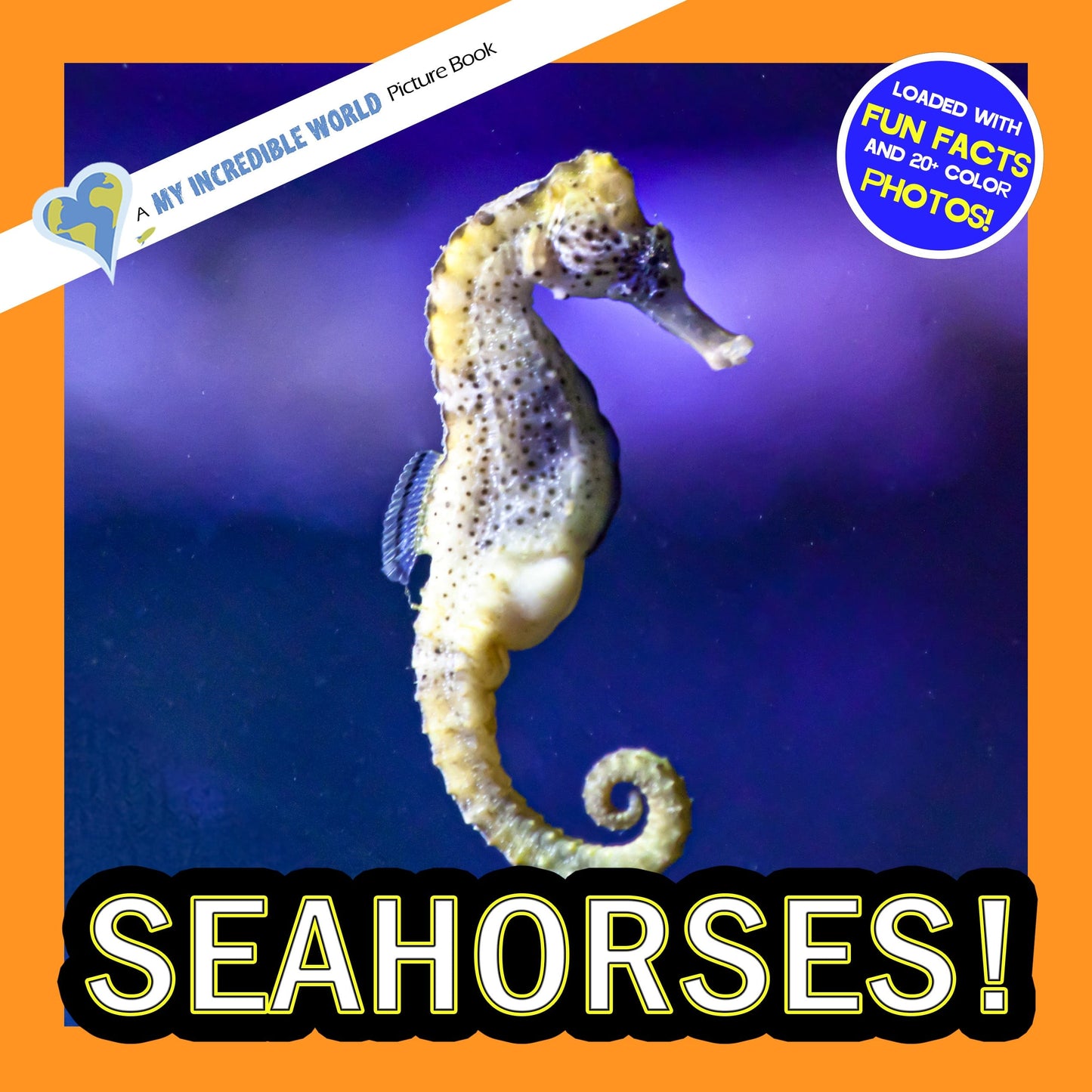 Seahorses! A My Incredible World Picture Book for Children