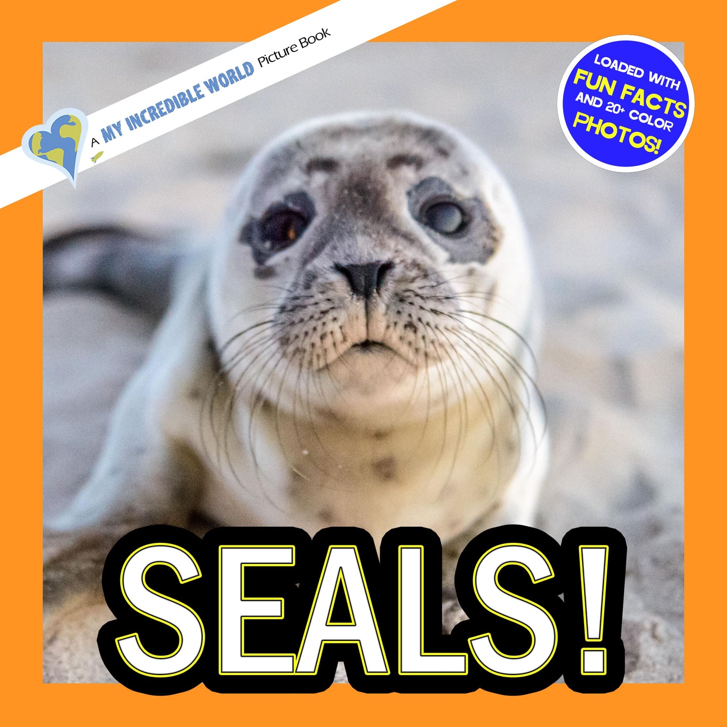 Seals! A My Incredible World Picture Book for Children