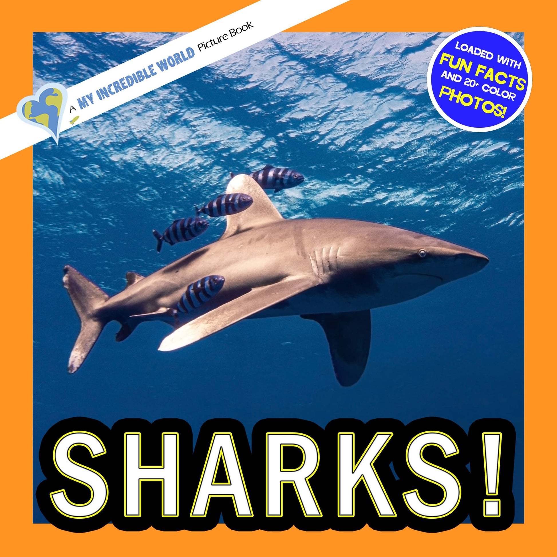 Sharks! A My Incredible World Picture Book for Children