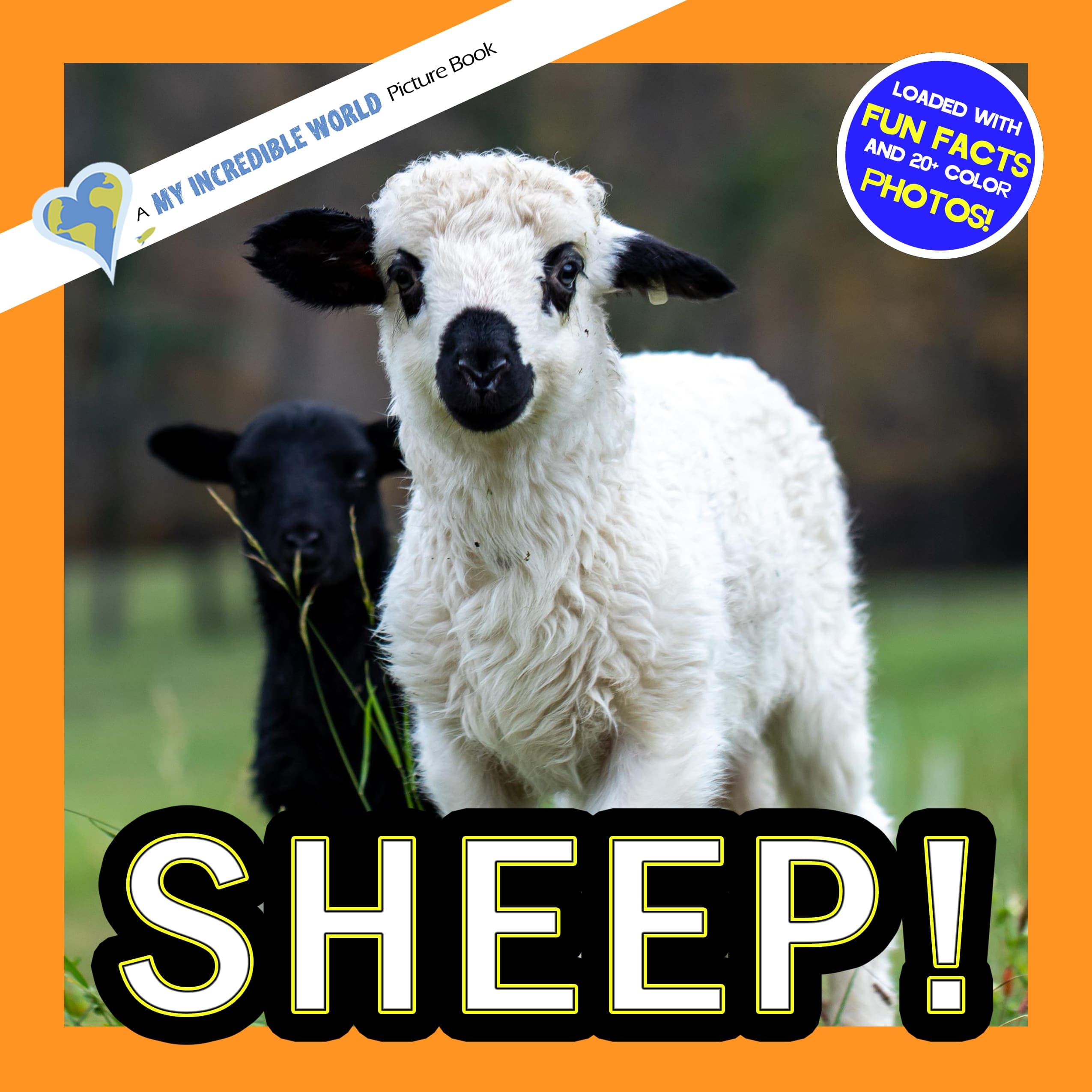 Sheep! A My Incredible World Picture Book for Children