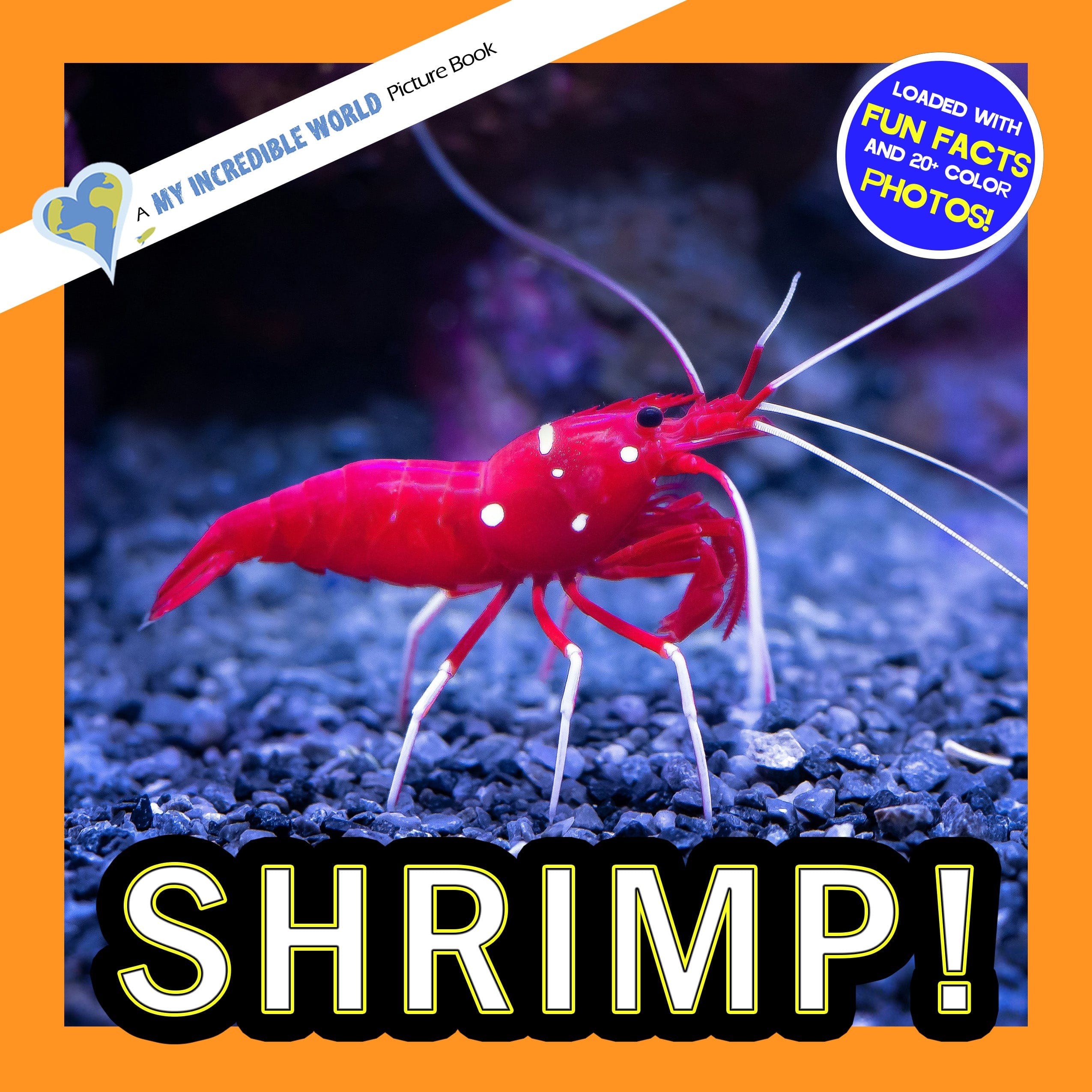 Shrimp! A My Incredible World Picture Book for Children