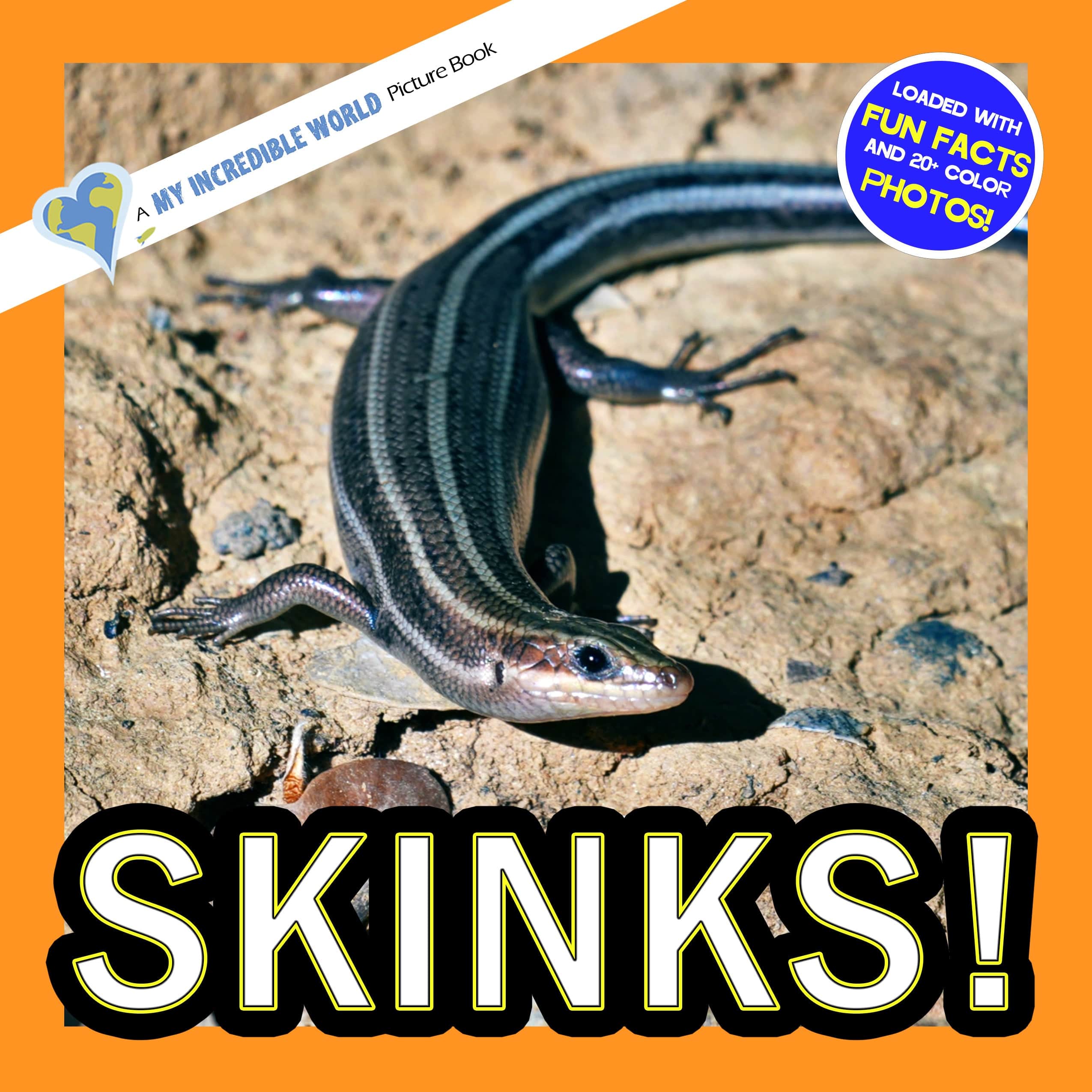 Skinks! A My Incredible World Picture Book for Children