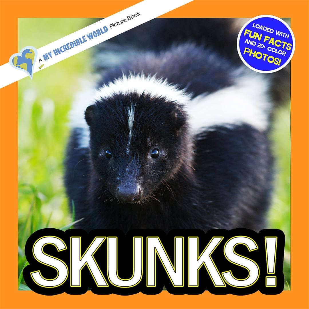 Skunks! A My Incredible World Picture Book for Children