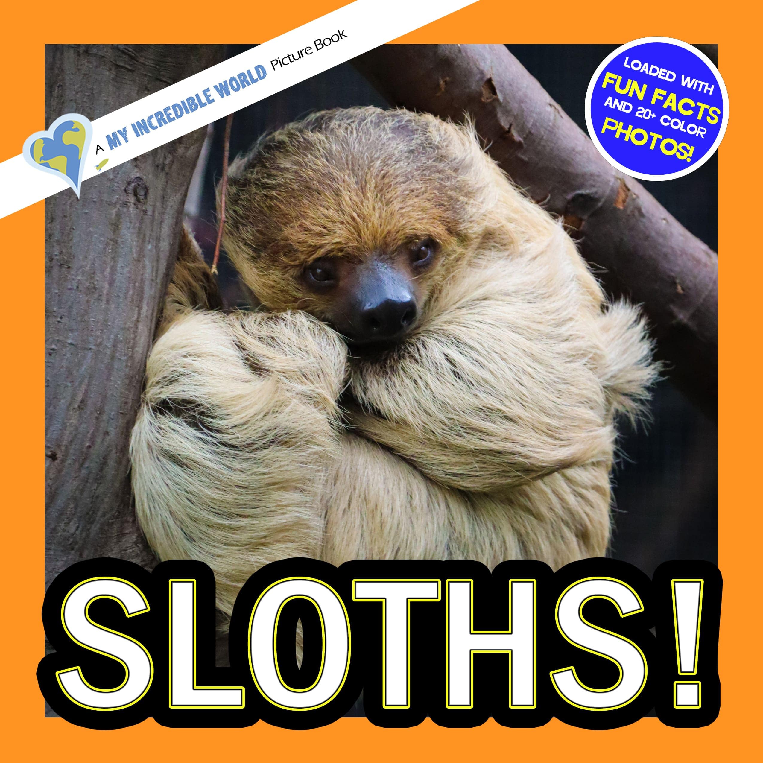 Sloths! A My Incredible World Picture Book for Children