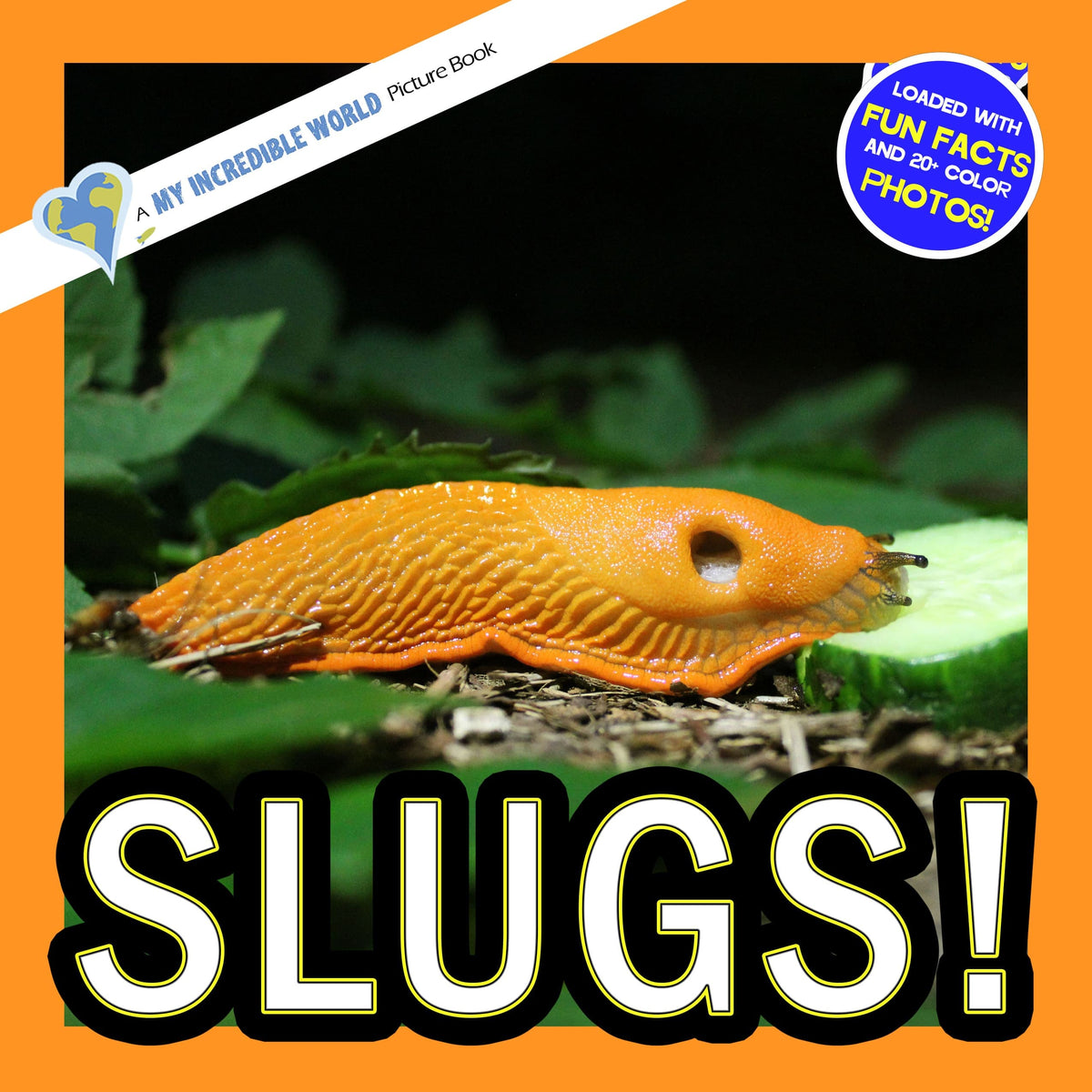 Slug World Slugs Book for Kids | Slimy Shell-Less Mollusks – My Incredible World