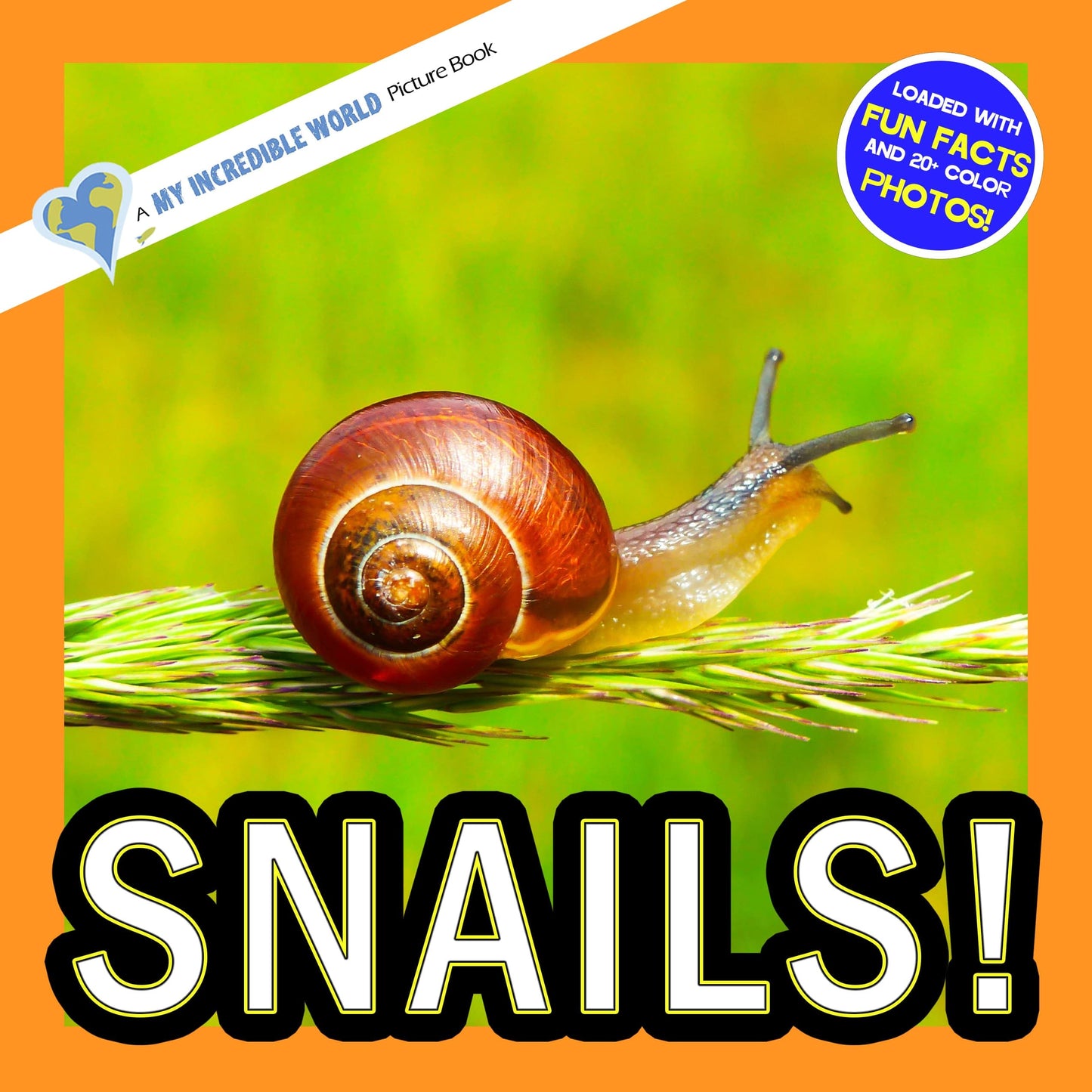 Snails! A My Incredible World Picture Book for Children