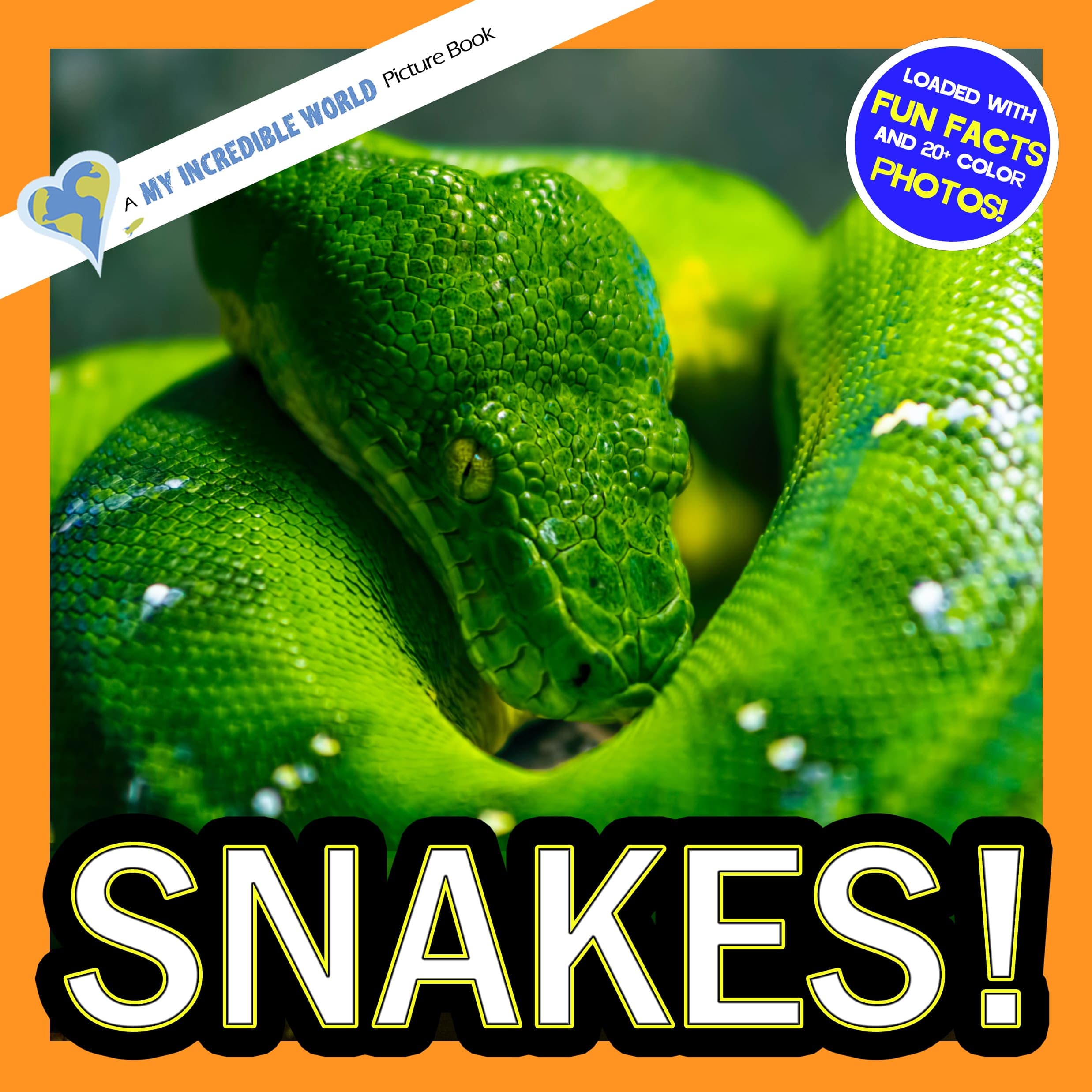 Snakes! A My Incredible World Picture Book for Children