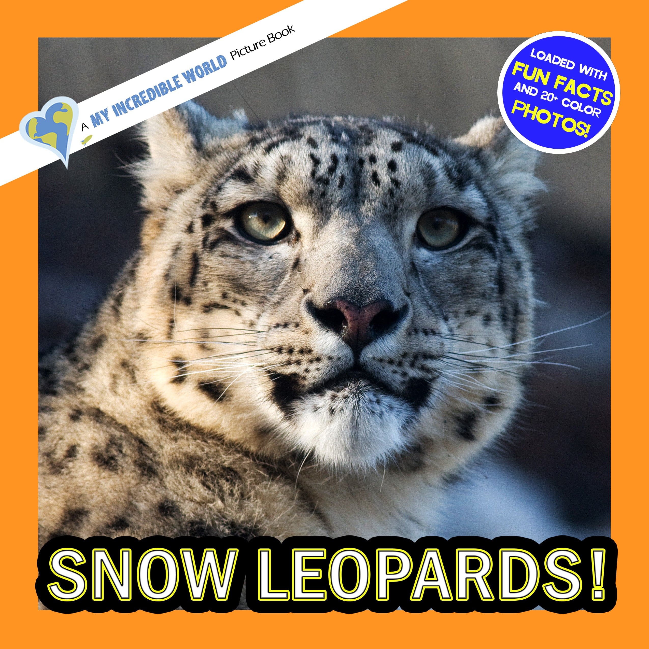 Snow Leopards! A My Incredible World Picture Book for Children