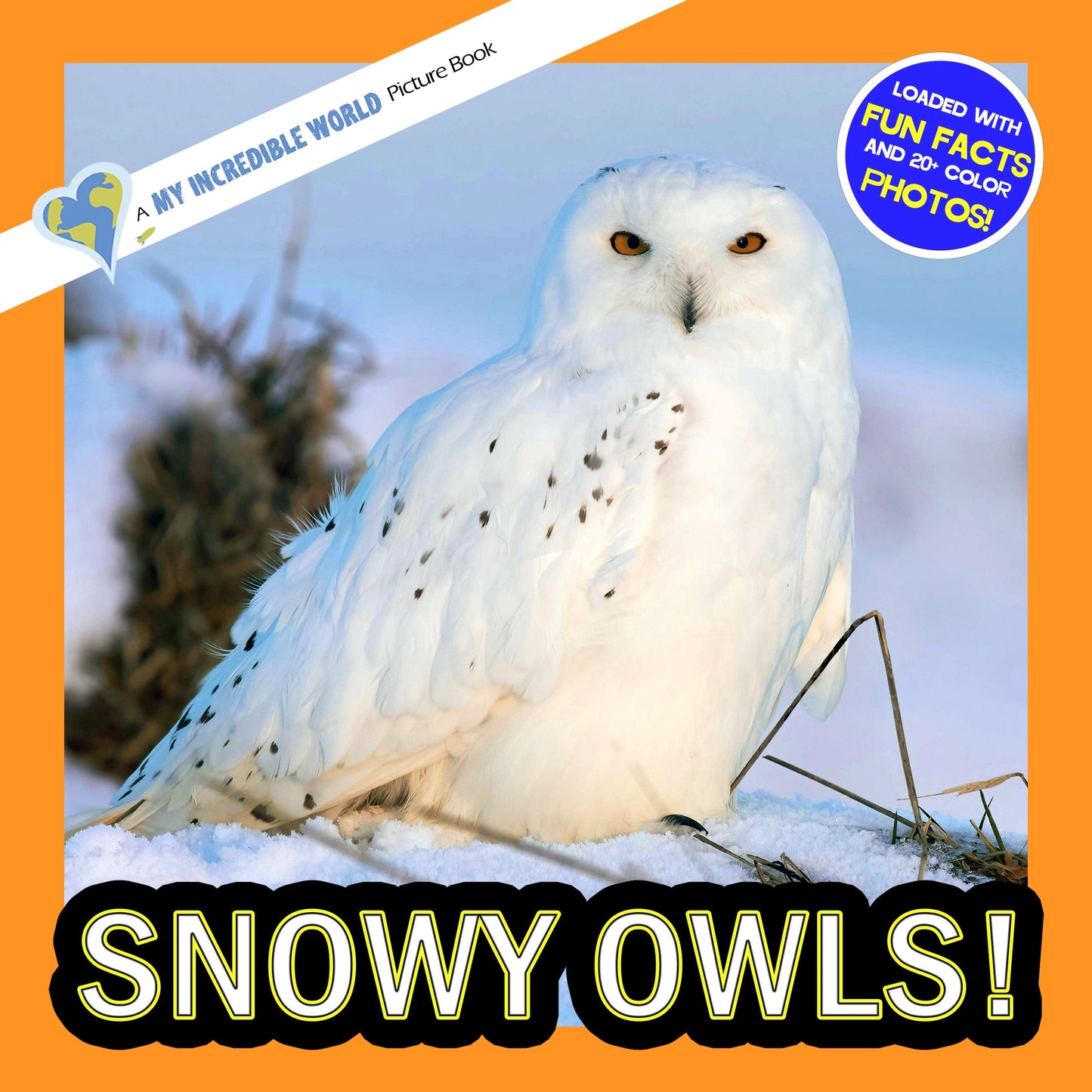 Snowy Owls! A My Incredible World Picture Book for Children