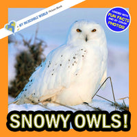 Snowy Owls! A My Incredible World Picture Book for Children