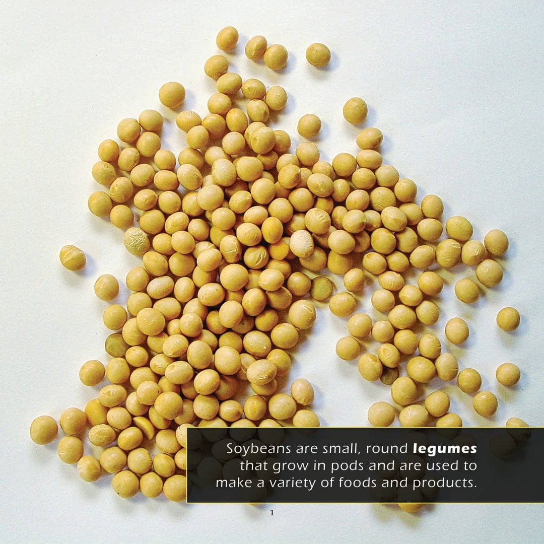 Soybeans! A My Incredible World Picture Book for Children