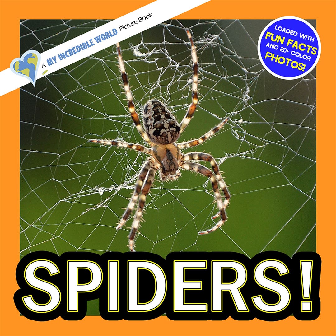 Spiders! A My Incredible World Picture Book for Children