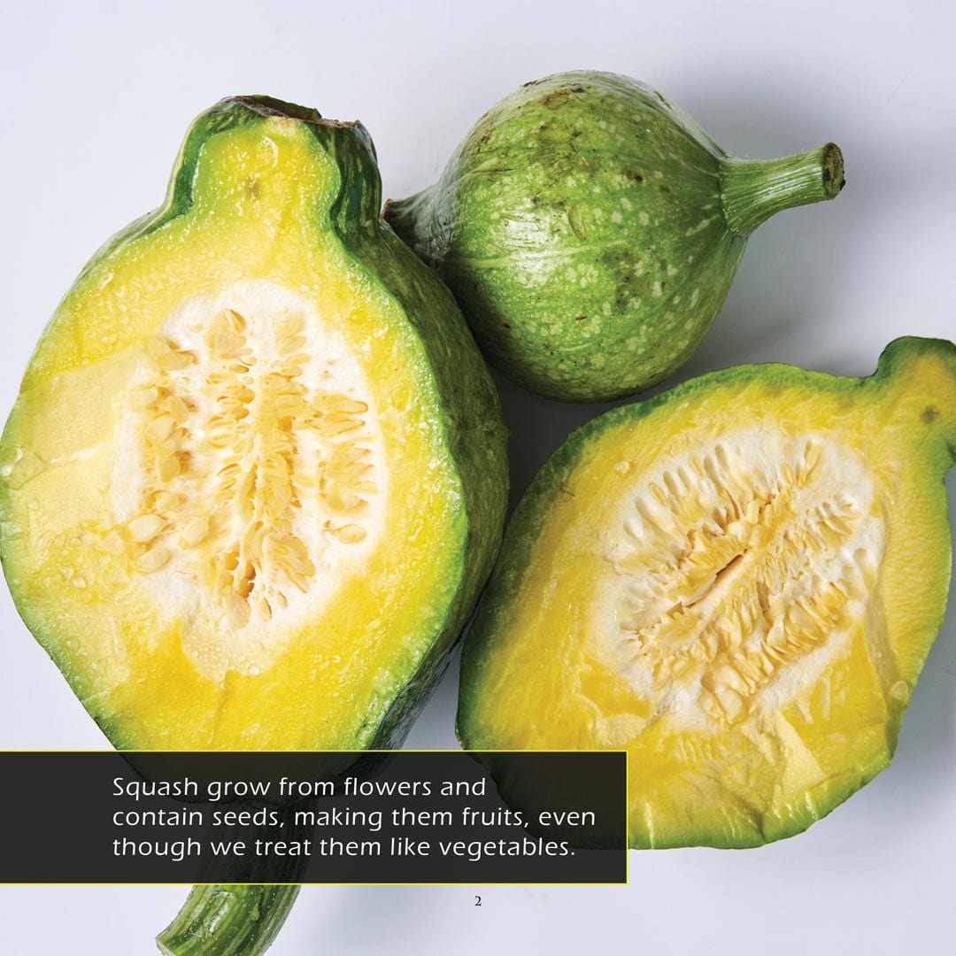 Squash! A My Incredible World Picture Book for Children
