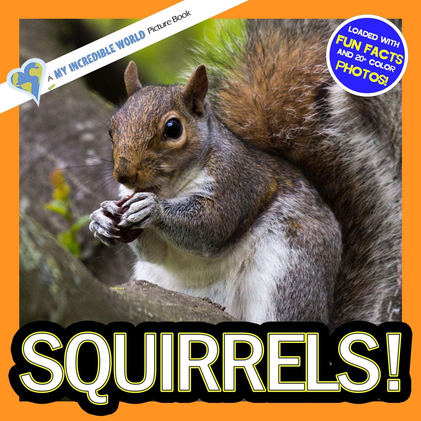 Squirrels! A My Incredible World Picture Book for Children