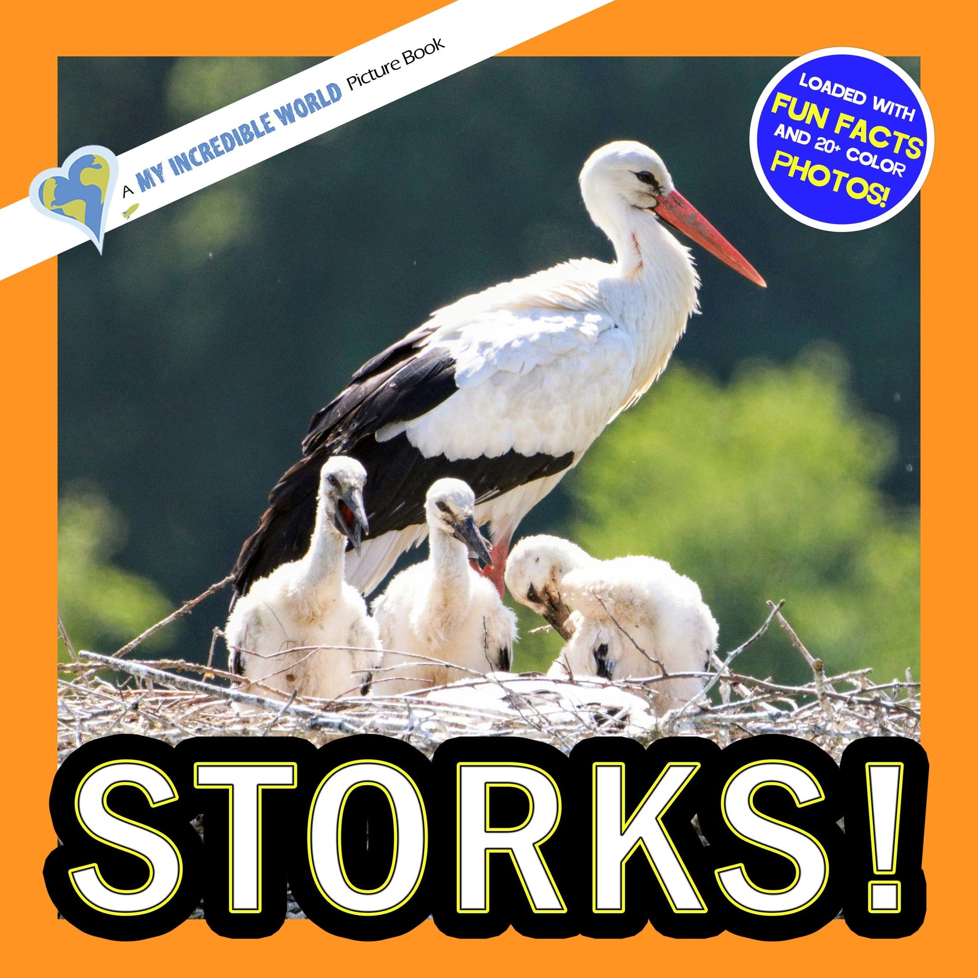 Storks! A My Incredible World Picture Book for Children