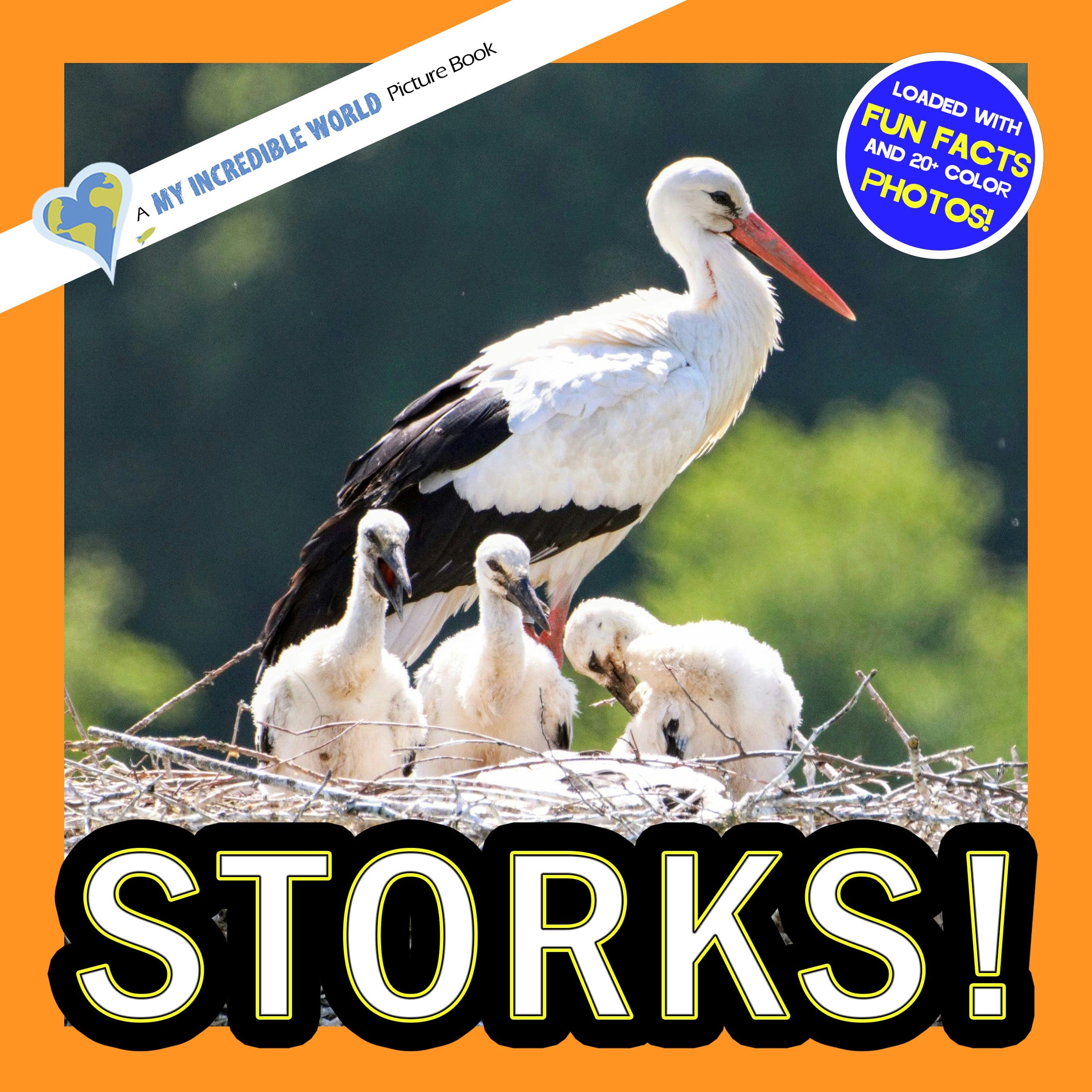 Storks! A My Incredible World Picture Book for Children