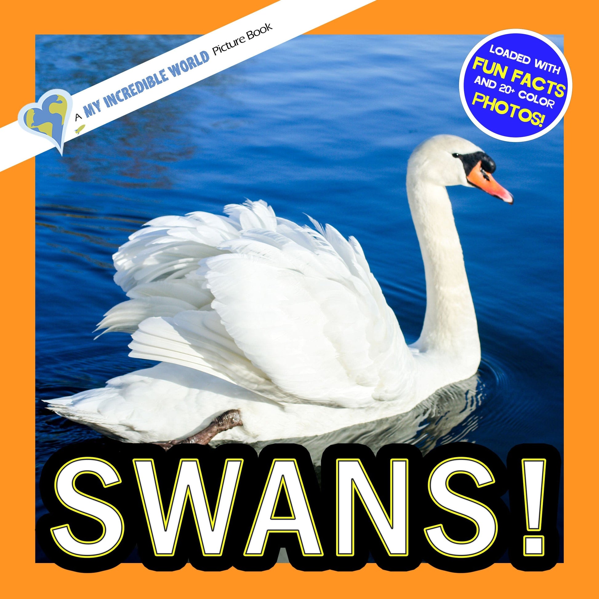 Swans! A My Incredible World Picture Book for Children