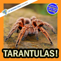 Tarantulas! A My Incredible World Picture Book for Children