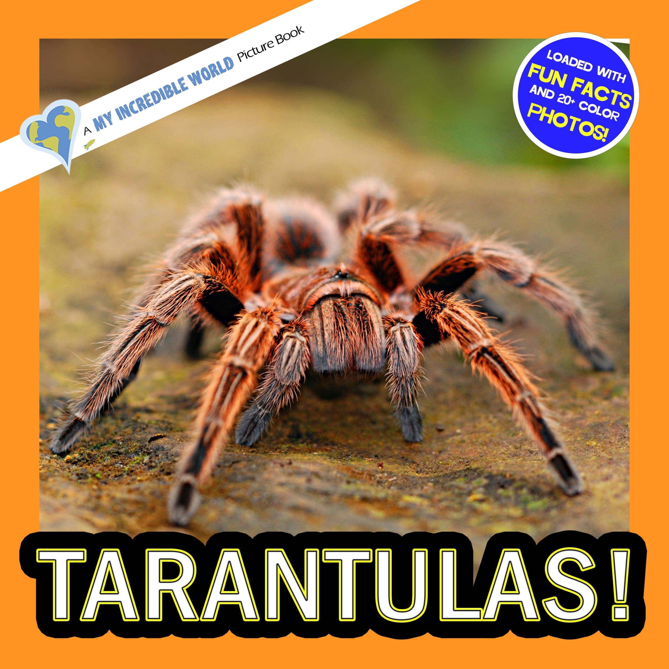 Tarantulas! A My Incredible World Picture Book for Children