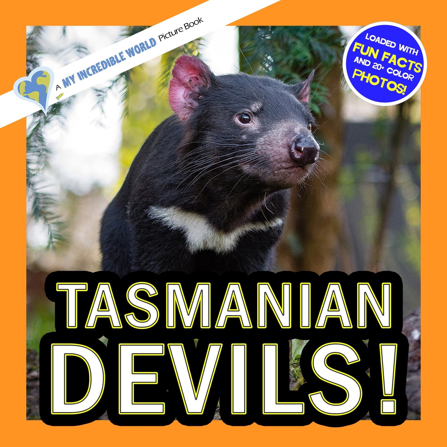 Tasmanian Devils! A My Incredible World Picture Book for Children