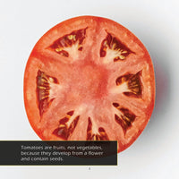 Tomatoes! A My Incredible World Picture Book for Children