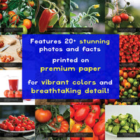Tomatoes! A My Incredible World Picture Book for Children