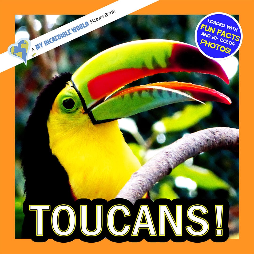 Toucans! A My Incredible World Picture Book for Children