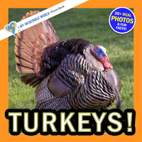 Turkeys! A My Incredible World Picture Book for Children