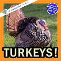 Turkeys! A My Incredible World Picture Book for Children