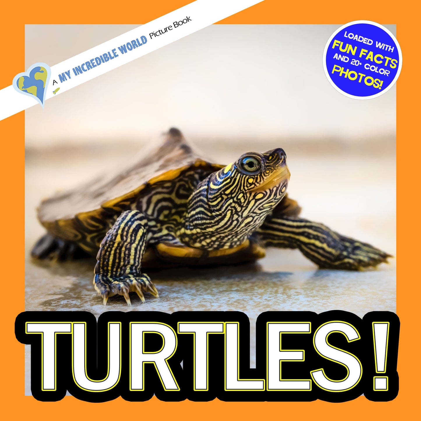 Turtles! A My Incredible World Picture Book for Children