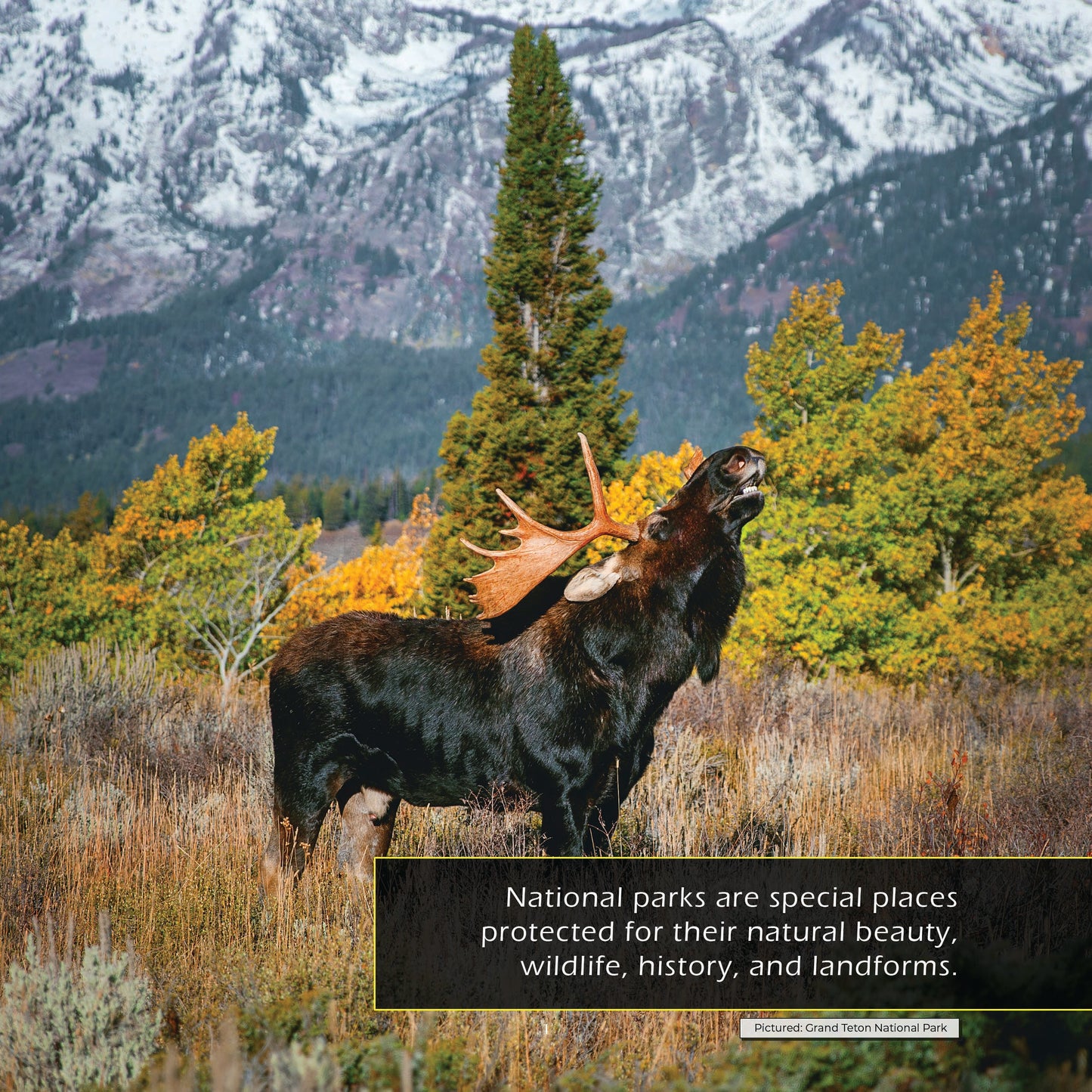 United States National Parks! A My Incredible World Picture Book for Children