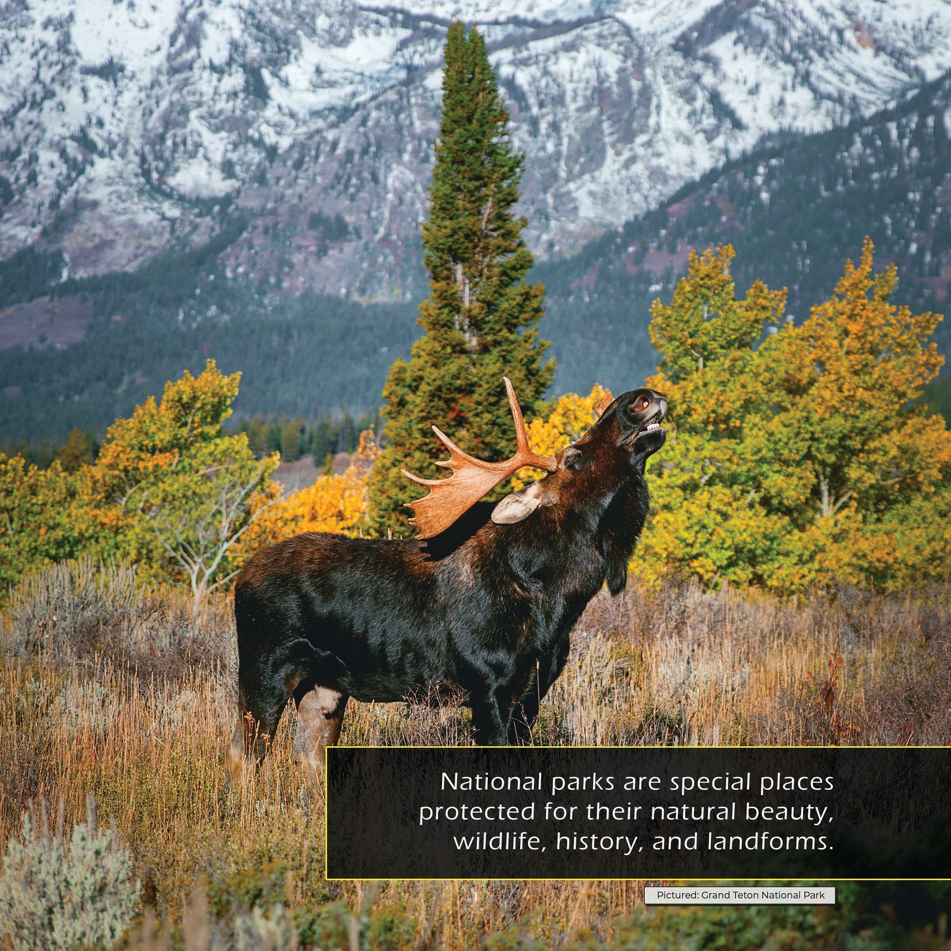 United States National Parks! A My Incredible World Picture Book for Children