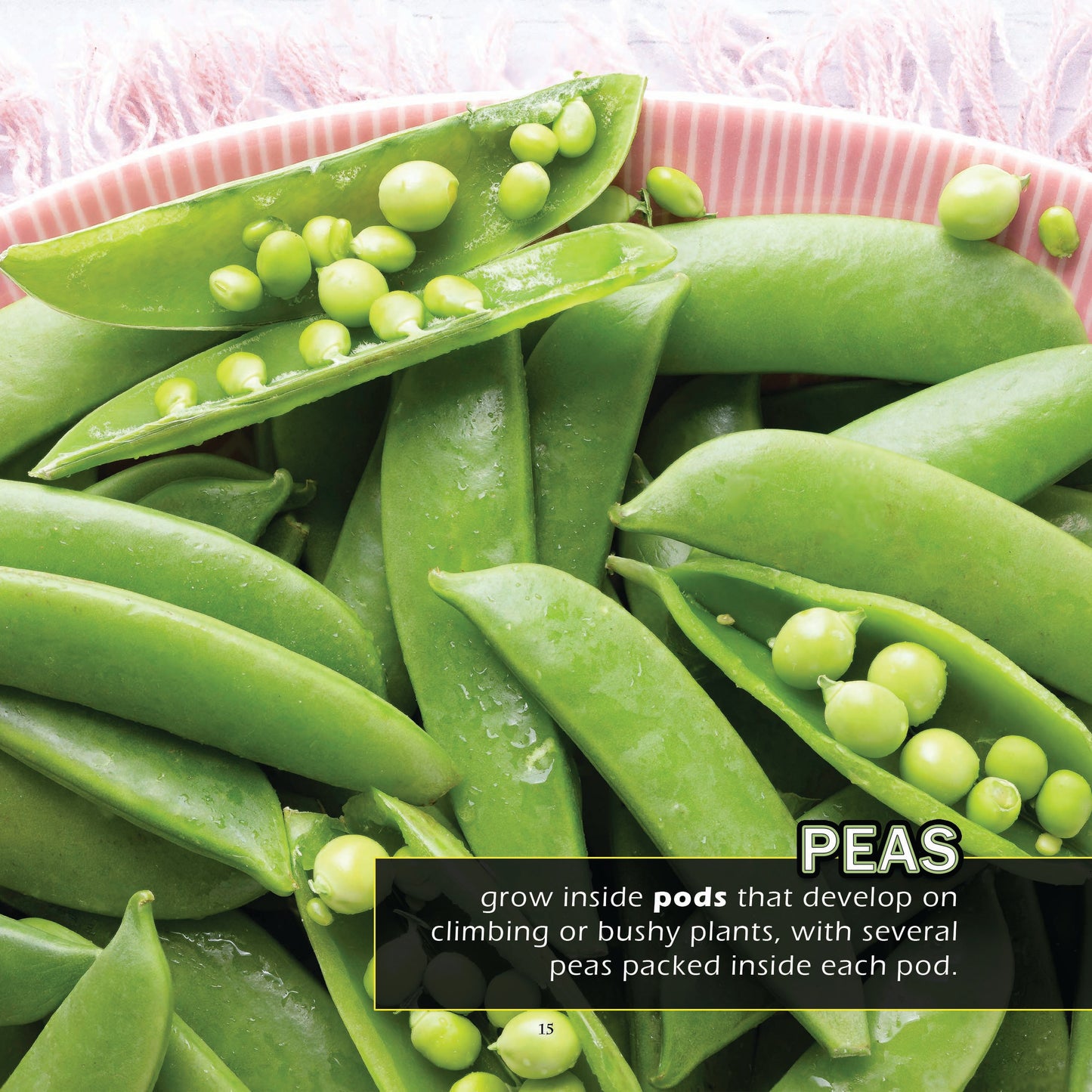 Vegetables! A My Incredible World Picture Book for Children
