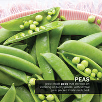 Vegetables! A My Incredible World Picture Book for Children