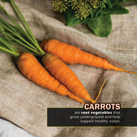 Vegetables! A My Incredible World Picture Book for Children
