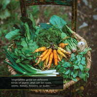 Vegetables! A My Incredible World Picture Book for Children