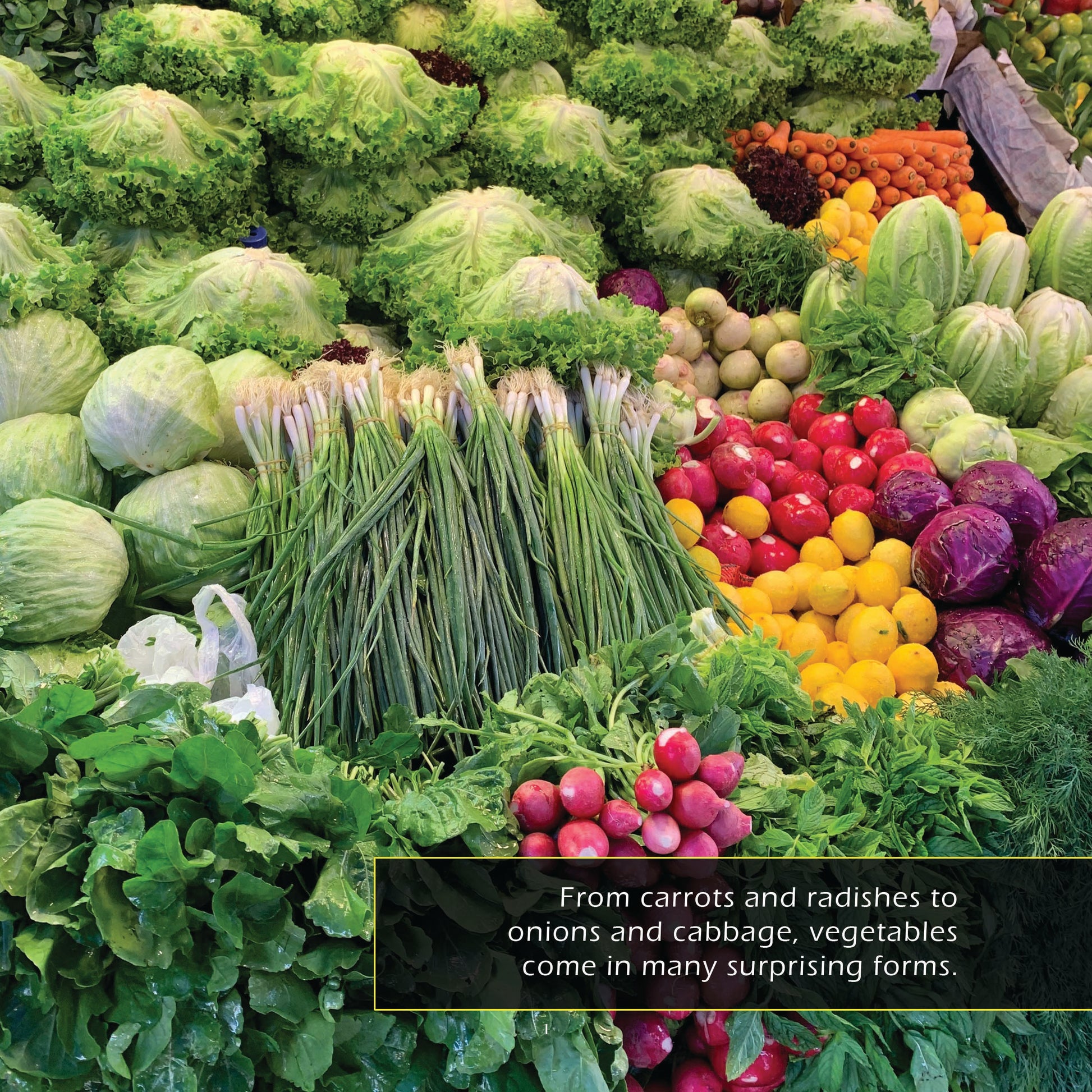 Vegetables! A My Incredible World Picture Book for Children