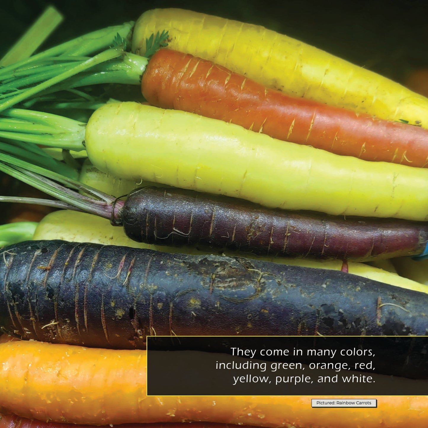 Vegetables! A My Incredible World Picture Book for Children