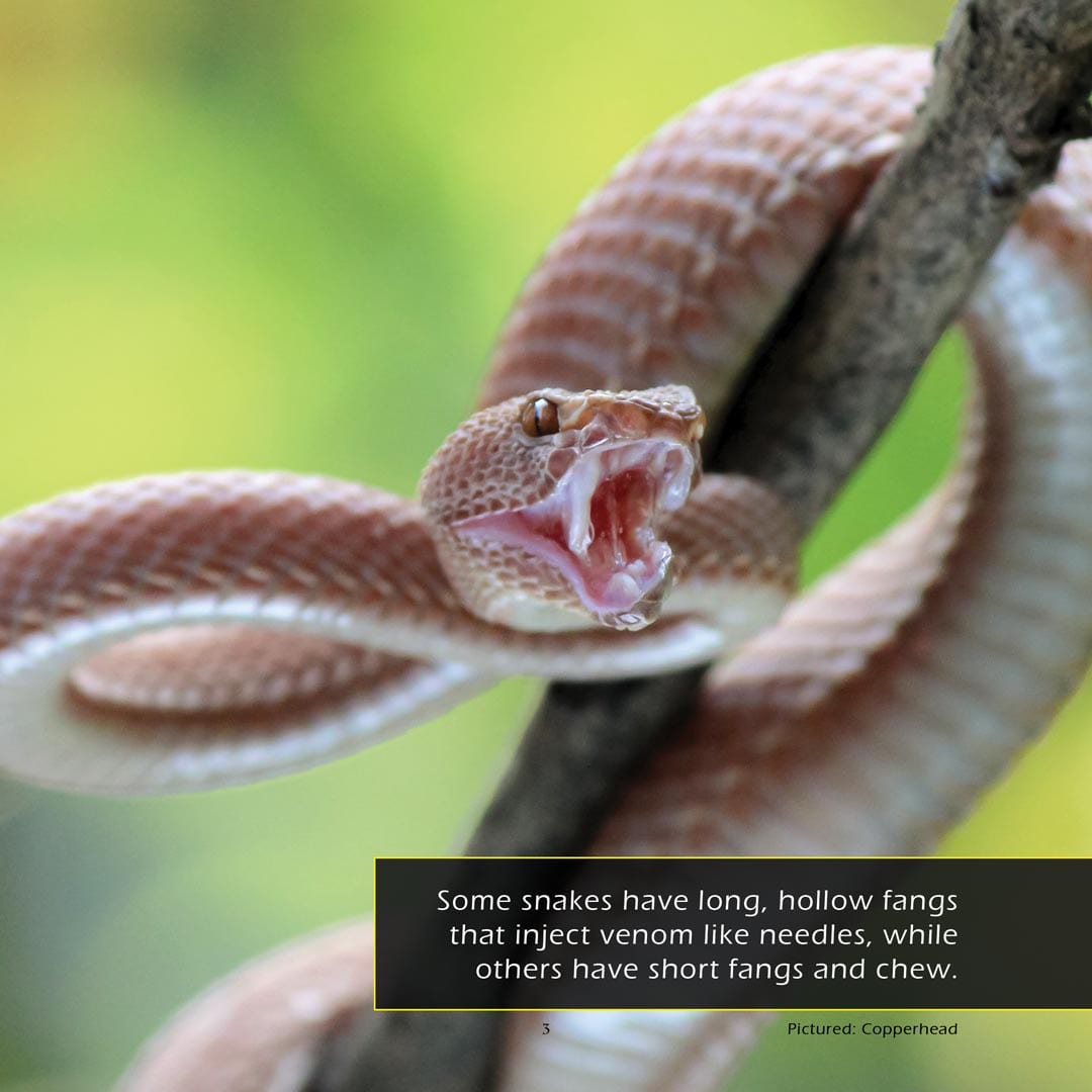 Venomous Snakes! A My Incredible World Picture Book for Children