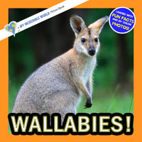 Wallabies! A My Incredible World Picture Book for Children