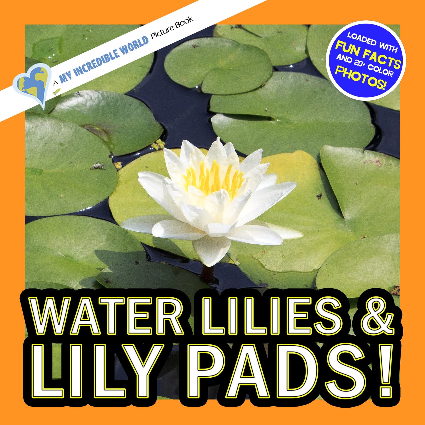 Water Lilies & Lily Pads! A My Incredible World Picture Book for Children