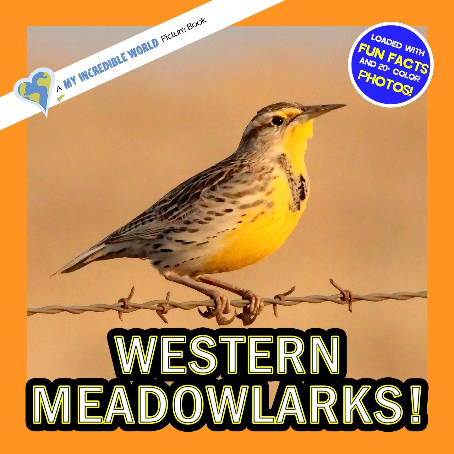 Western Meadowlarks! A My Incredible World Picture Book for Children