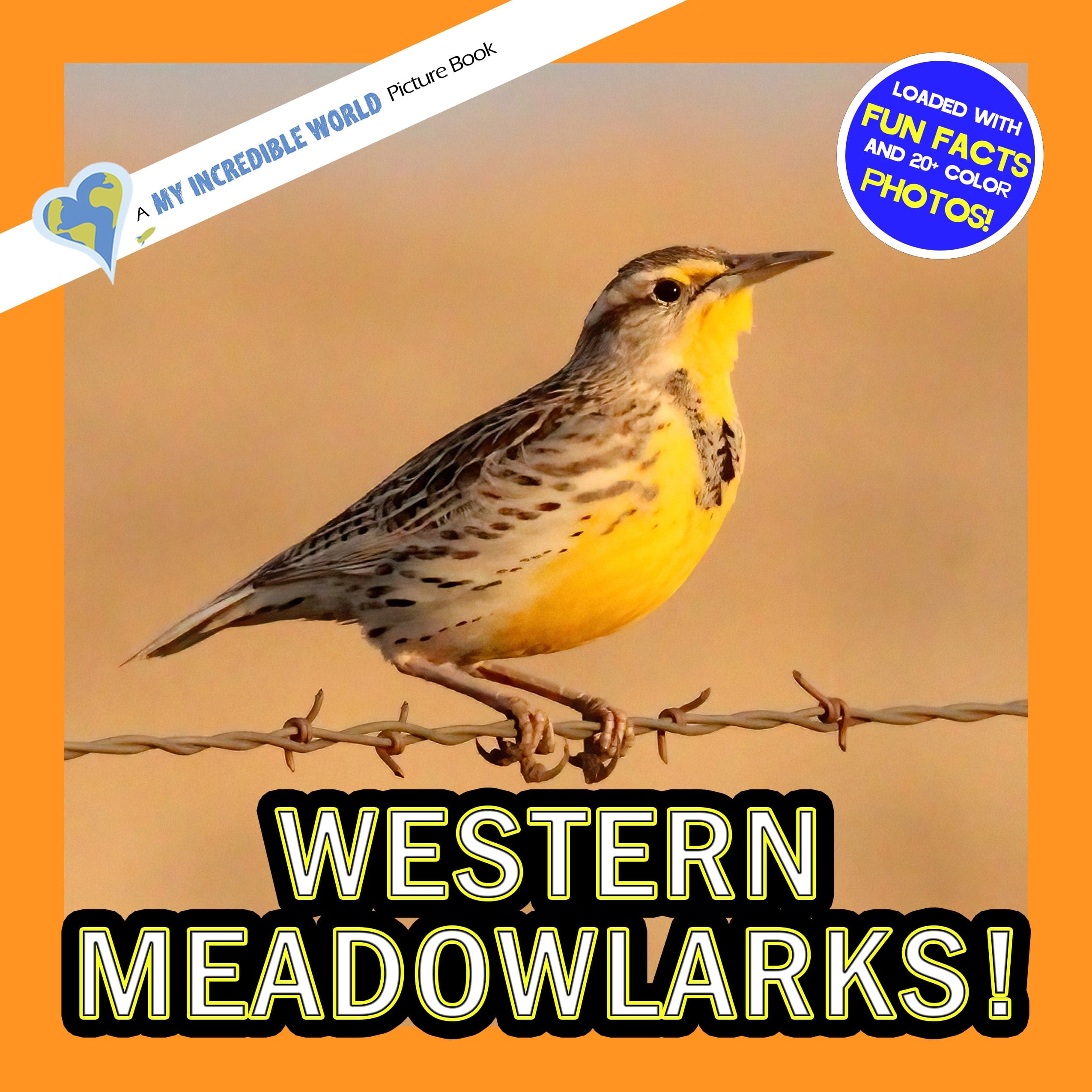 Western Meadowlarks! A My Incredible World Picture Book for Children