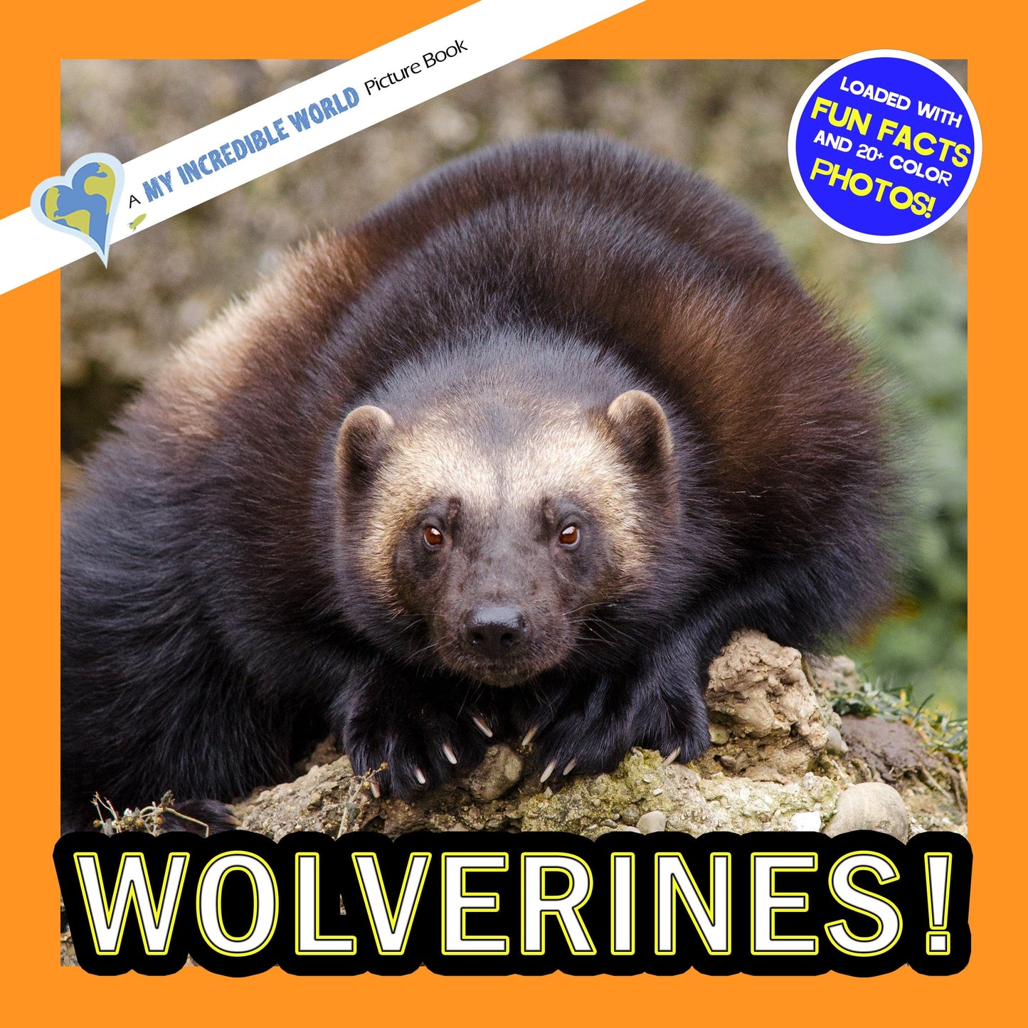 Wolverines! A My Incredible World Picture Book for Children