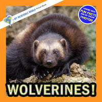 Wolverines! A My Incredible World Picture Book for Children